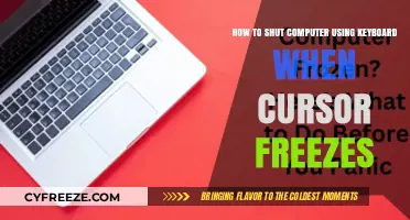 Quick Fix: Keyboard Shortcut to Shut Down Frozen Computer