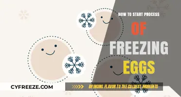Egg Preservation: A Step-by-Step Guide to Freezing Your Future