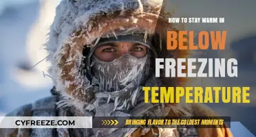 Surviving the Freeze: Essential Tips to Stay Warm in Extreme Cold