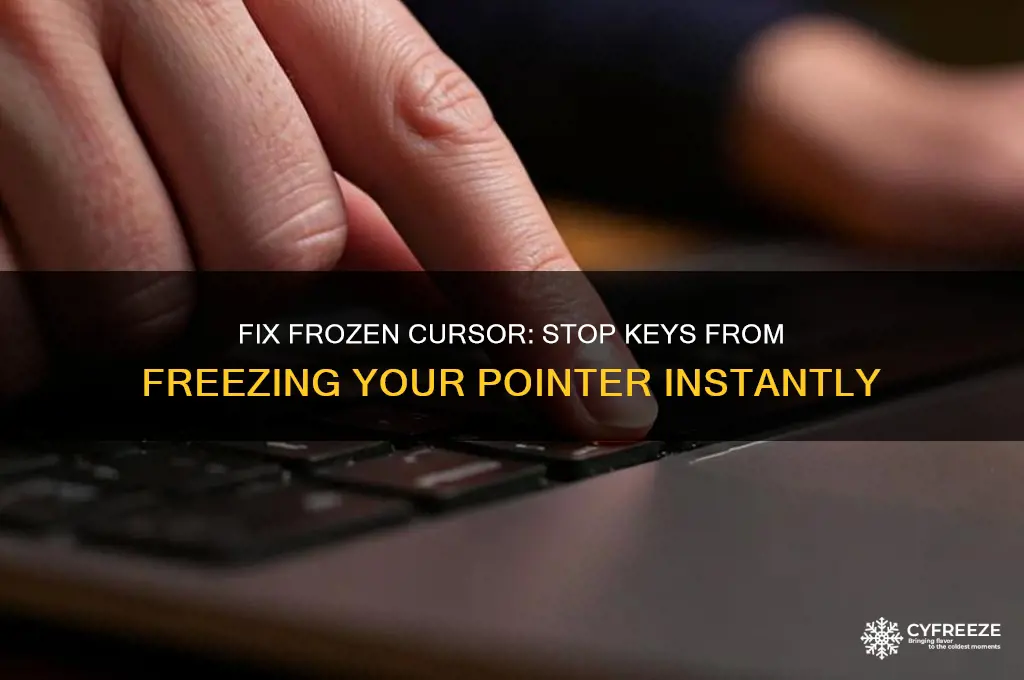 how to stop keys from making the pointer freeze