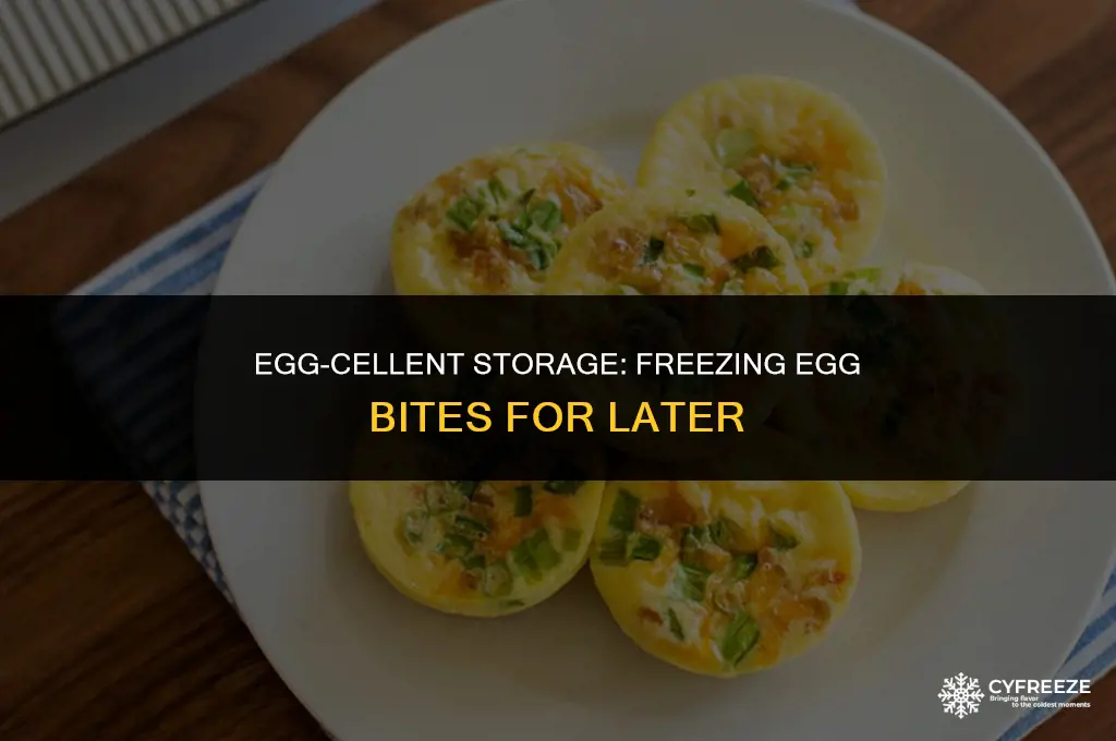 how to store egg bites in freezer