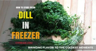 Preserve Freshness: The Ultimate Guide to Freezing Dill