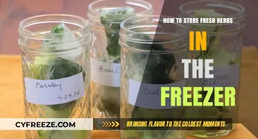 Preserve Freshness: The Ultimate Guide to Freezing Herbs