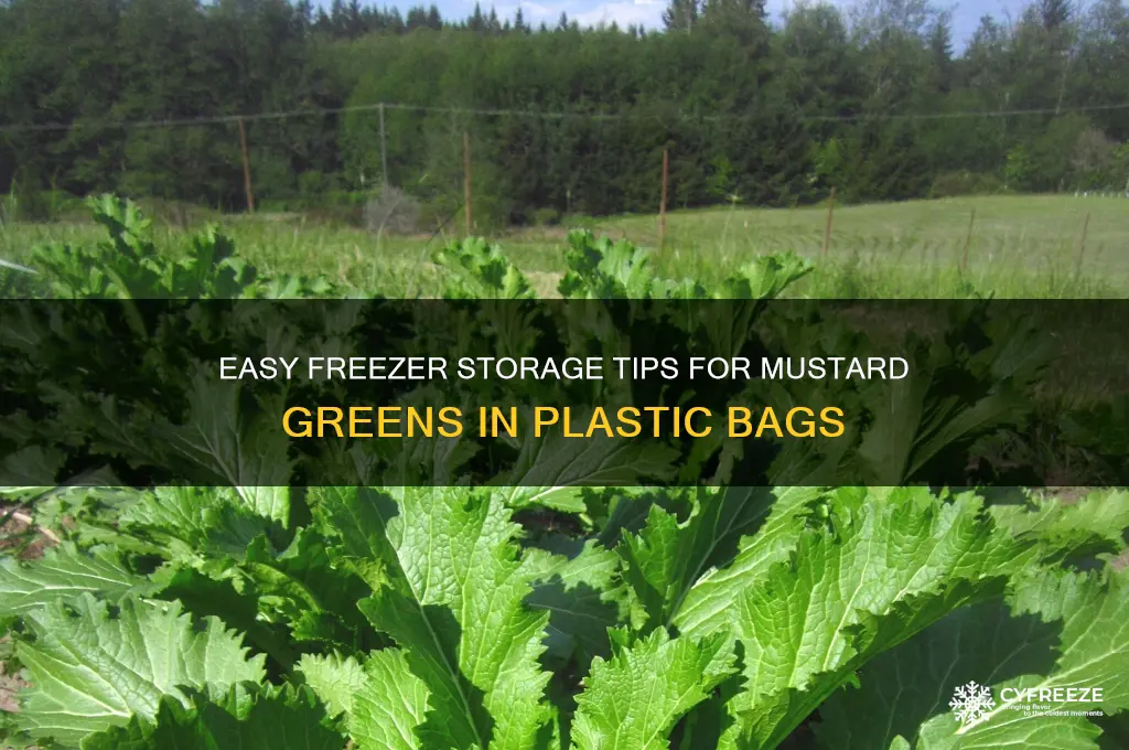 how to store mustard greens in freezer using plastc bags