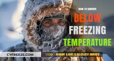 Surviving Extreme Cold: Essential Tips for Below-Freezing Temperatures
