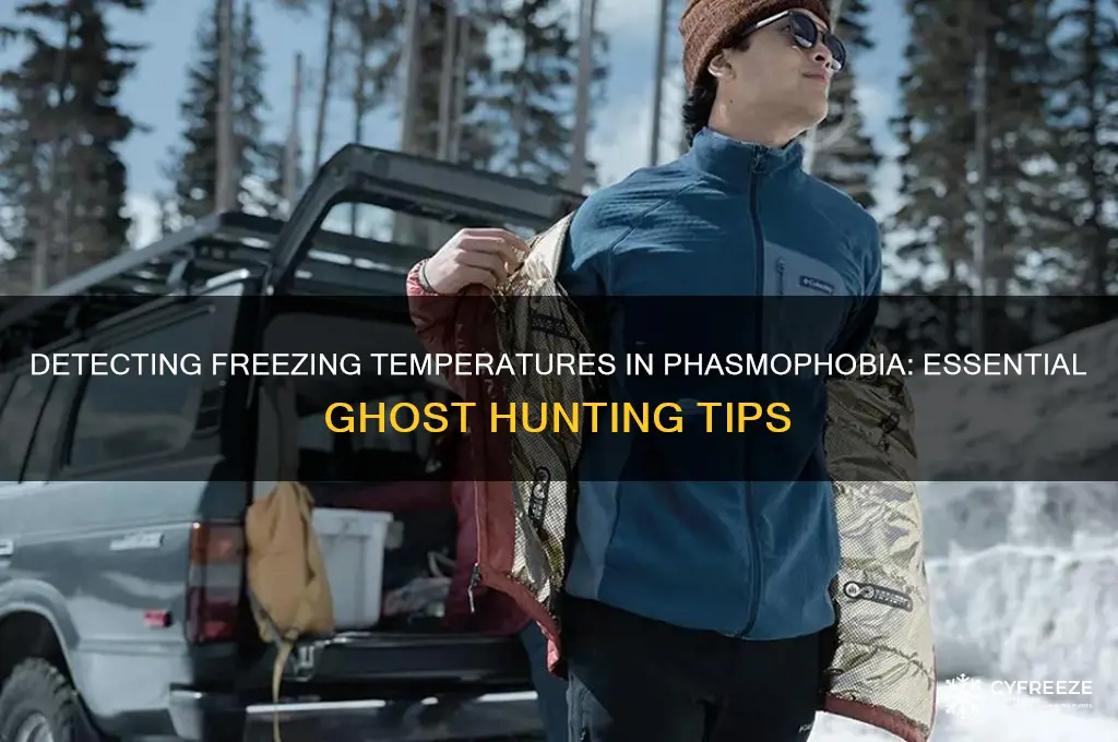 how to tell freezing temperature in phasmophobia