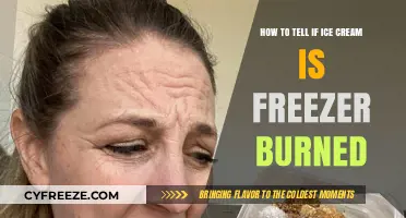 The Scoop on Freezer Burn: How to Tell If Your Ice Cream Has Gone Bad