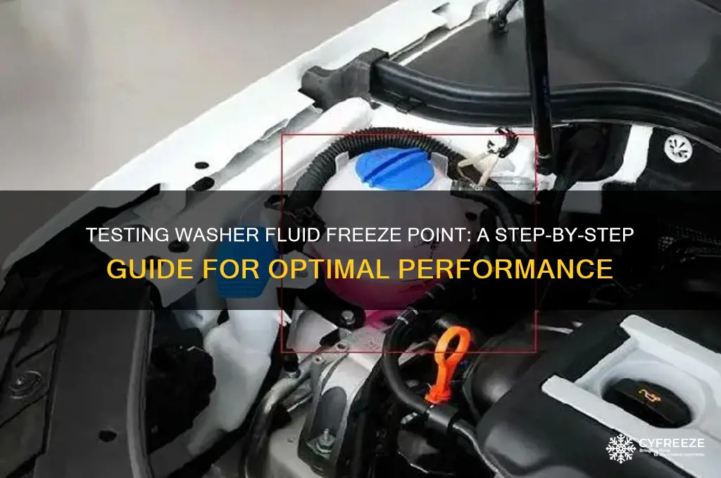 how to test washer fluid freeze point