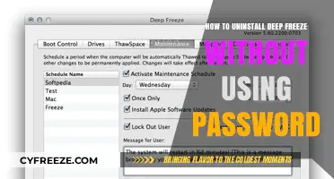 Uninstall Deep Freeze Without Password: A Step-by-Step Guide