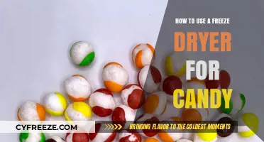 Sweet Preservation: Mastering Freeze-Drying Techniques for Candy Creation
