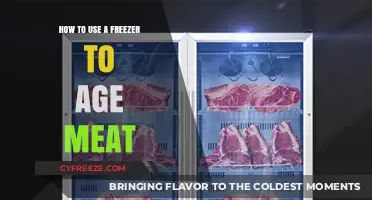 Mastering Meat Aging: A Freezer Guide for Perfect Results