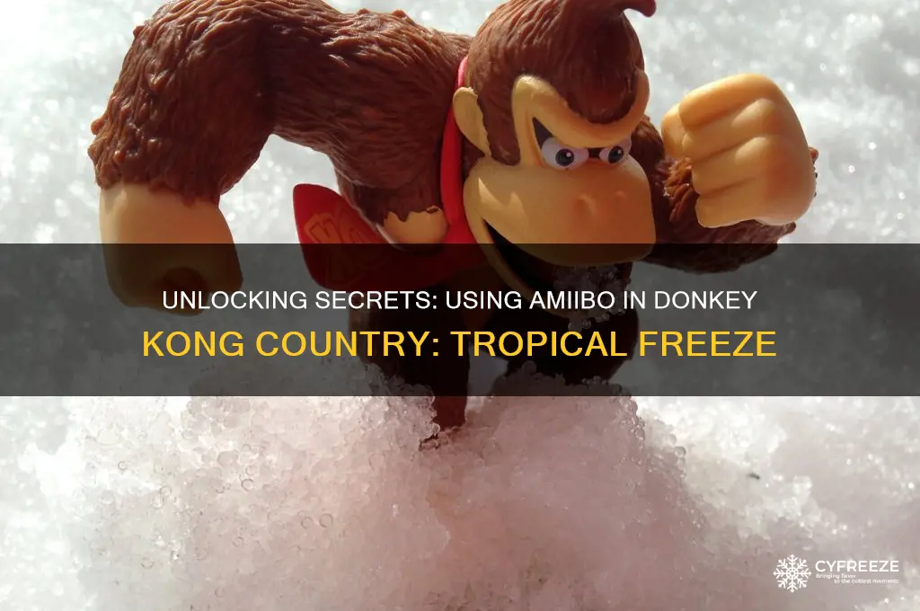 how to use an amiibo in donkey kong country freeze