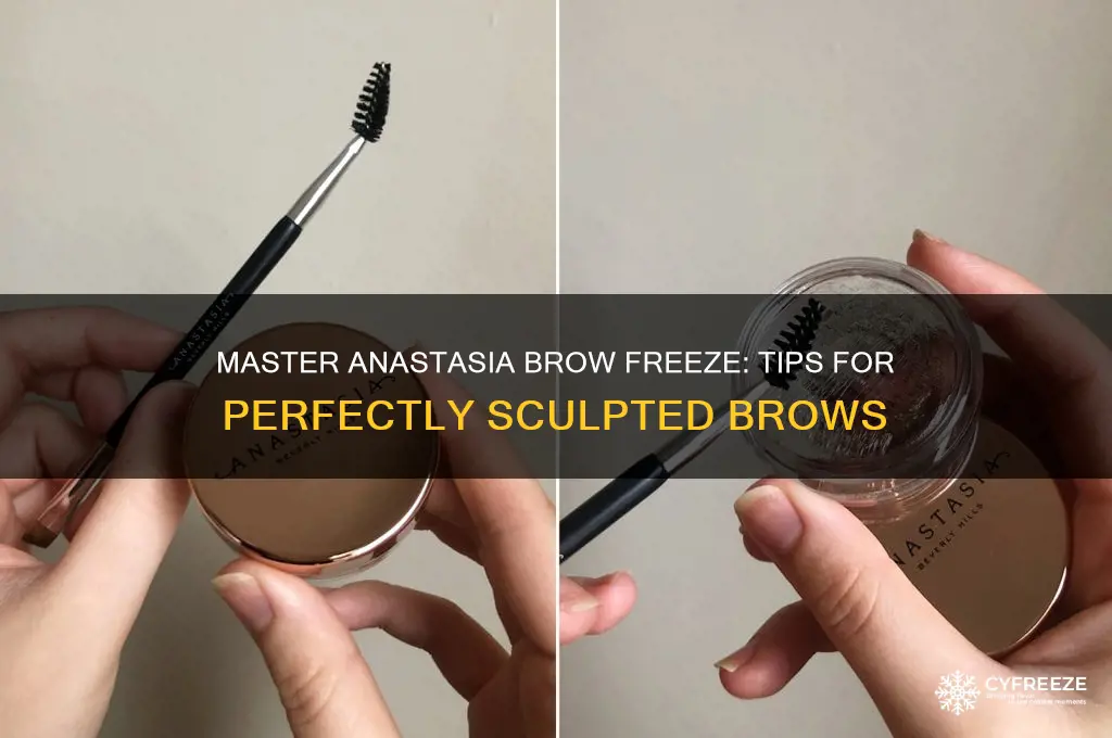 how to use anastasia brow freeze