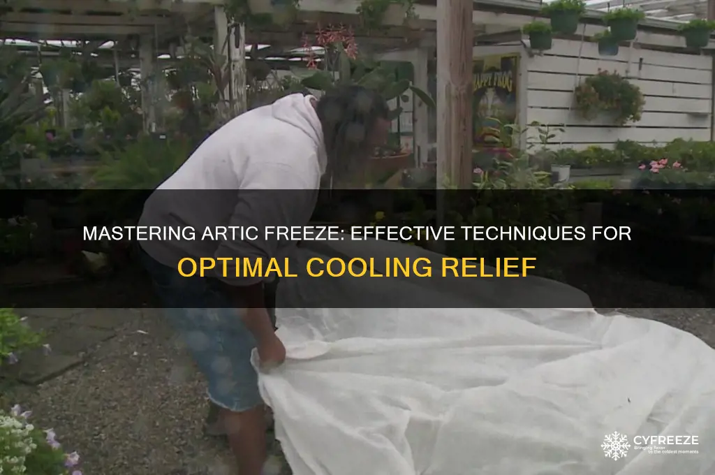 how to use artic freeze