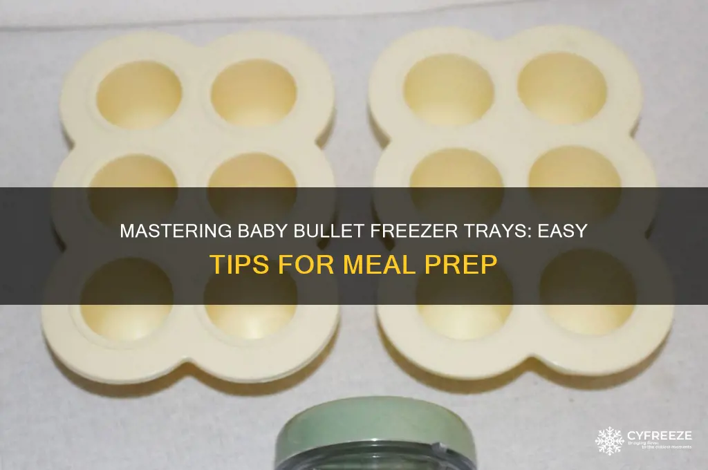 how to use baby bullet freezer tray
