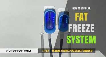 Effective Blue Fat Freeze System Usage Guide for Optimal Results