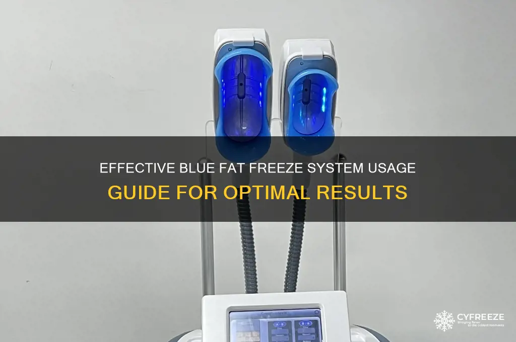 how to use blue fat freeze system
