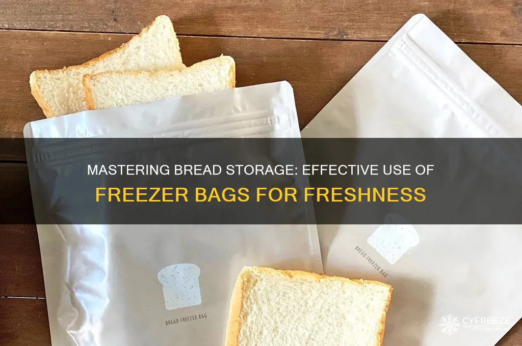 how to use bread freezer bags