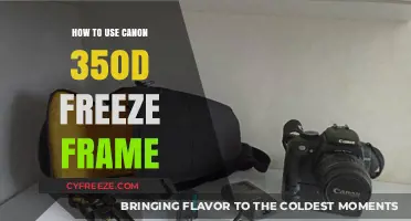 Mastering Freeze Frame Technique with Your Canon 350D Camera
