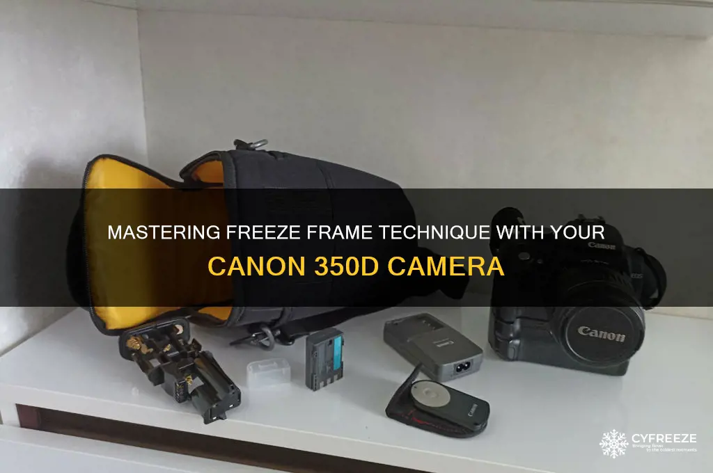 how to use canon 350d freeze frame