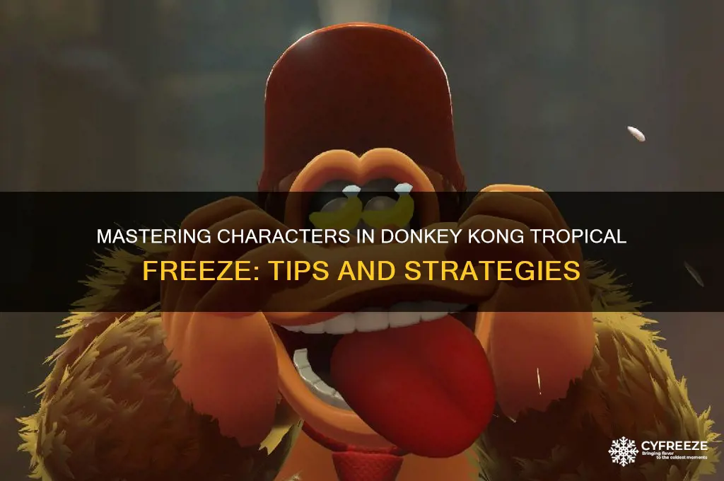 how to use characters in donkey kong tropical freeze