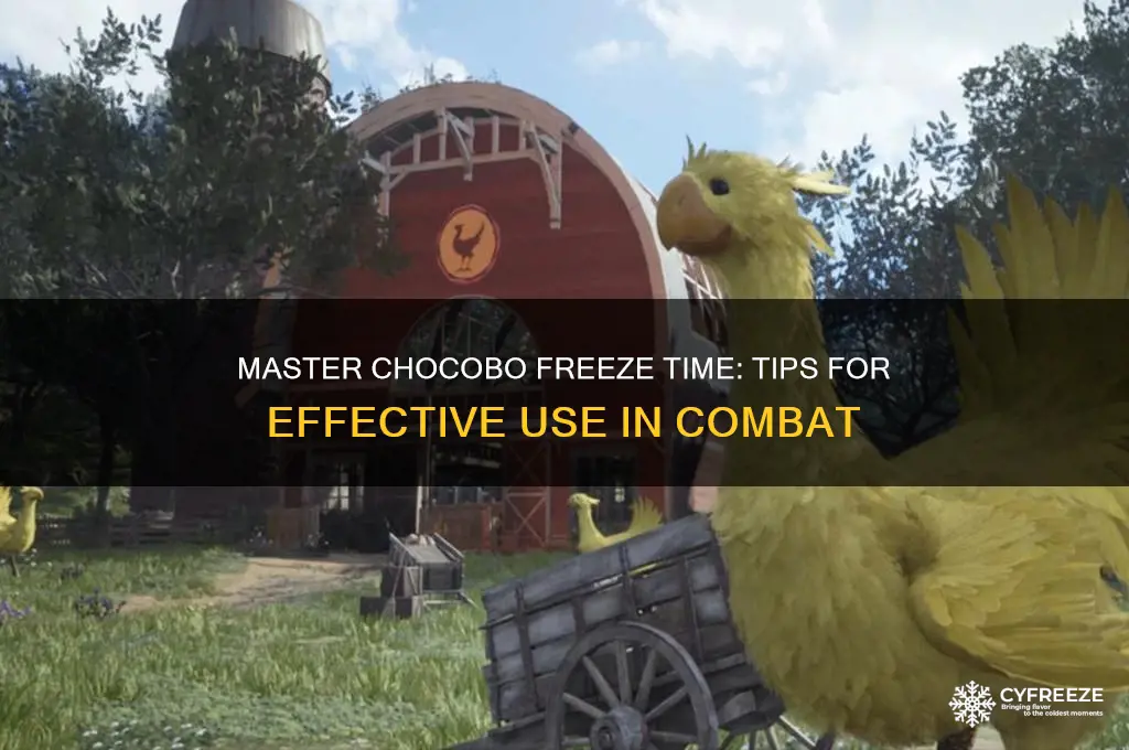 how to use chocobo freeze time