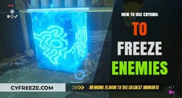 Mastering Cryonis: Freeze Enemies with Precision in Zelda