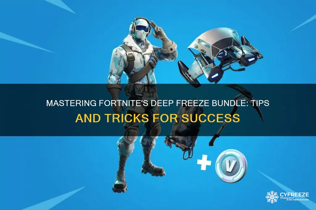 how to use deep freeze bundle fortnite