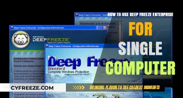Mastering Deep Freeze Enterprise for Single Computer Setup and Use