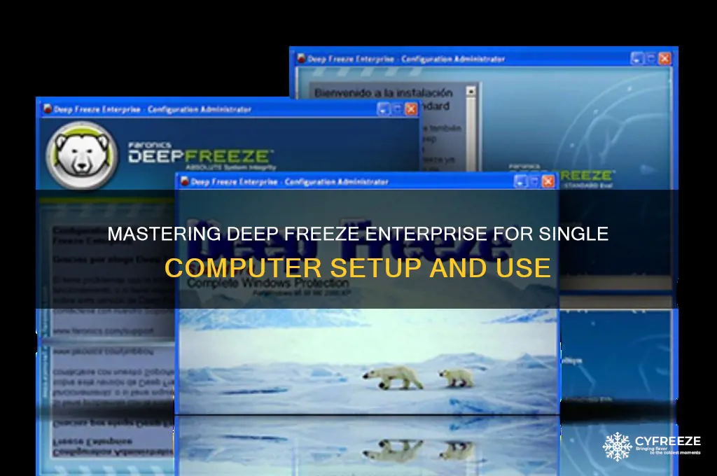 how to use deep freeze enterprise for single computer