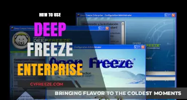 Mastering Deep Freeze Enterprise: A Comprehensive Guide for IT Professionals