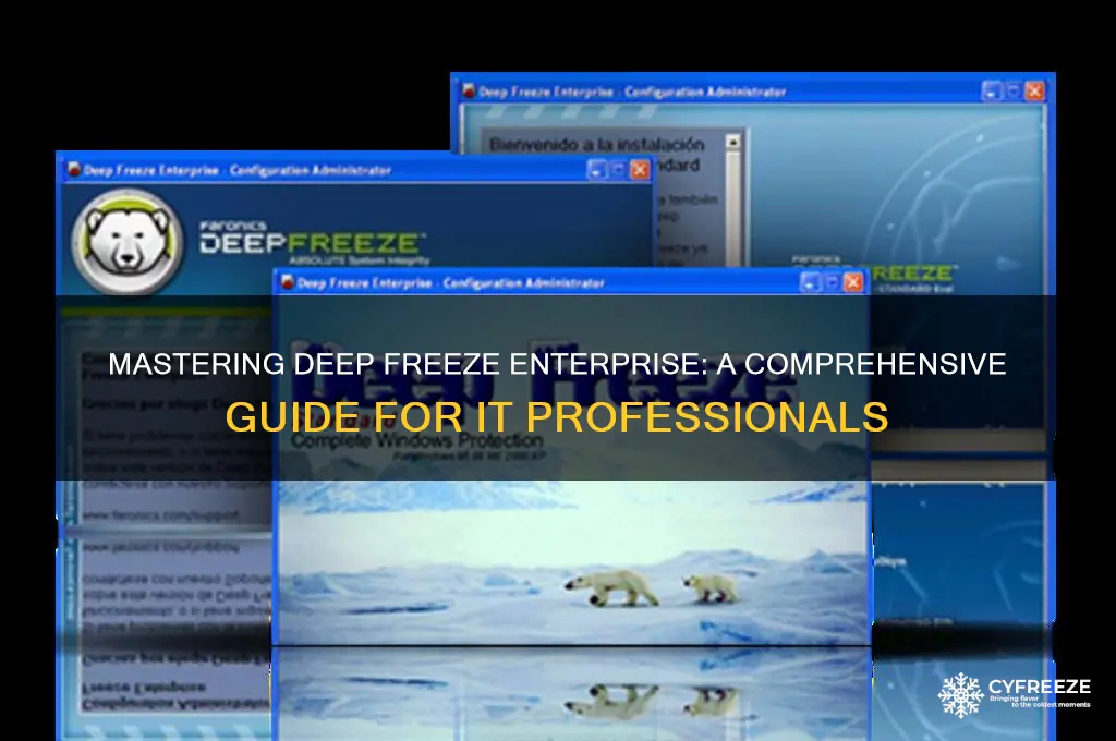 how to use deep freeze enterprise