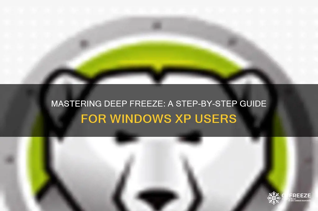 how to use deep freeze for windows xp