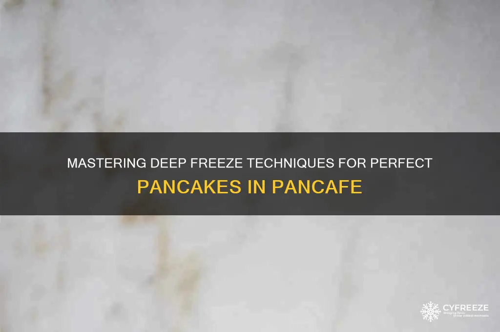 how to use deep freeze in pancafe