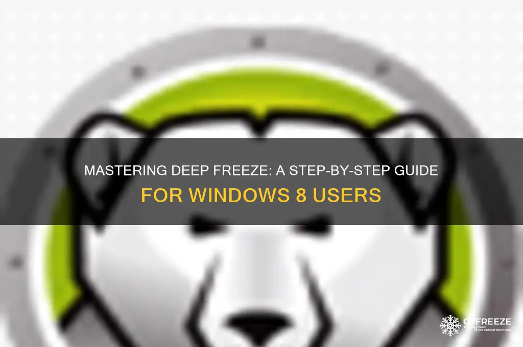 how to use deep freeze in windows 8