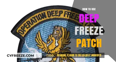 Mastering Deep Freeze Patch: A Step-by-Step Guide for Effective Use