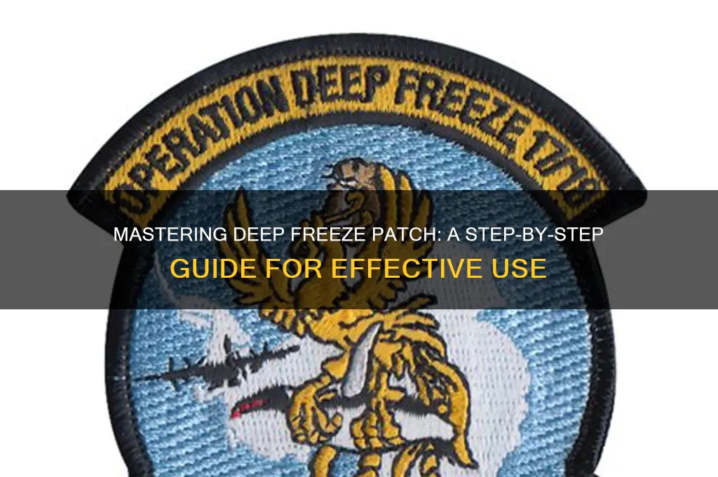 how to use deep freeze patch
