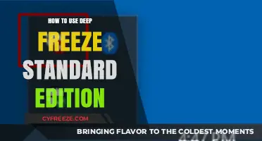 Mastering Deep Freeze Standard Edition: A Step-by-Step Guide to Usage