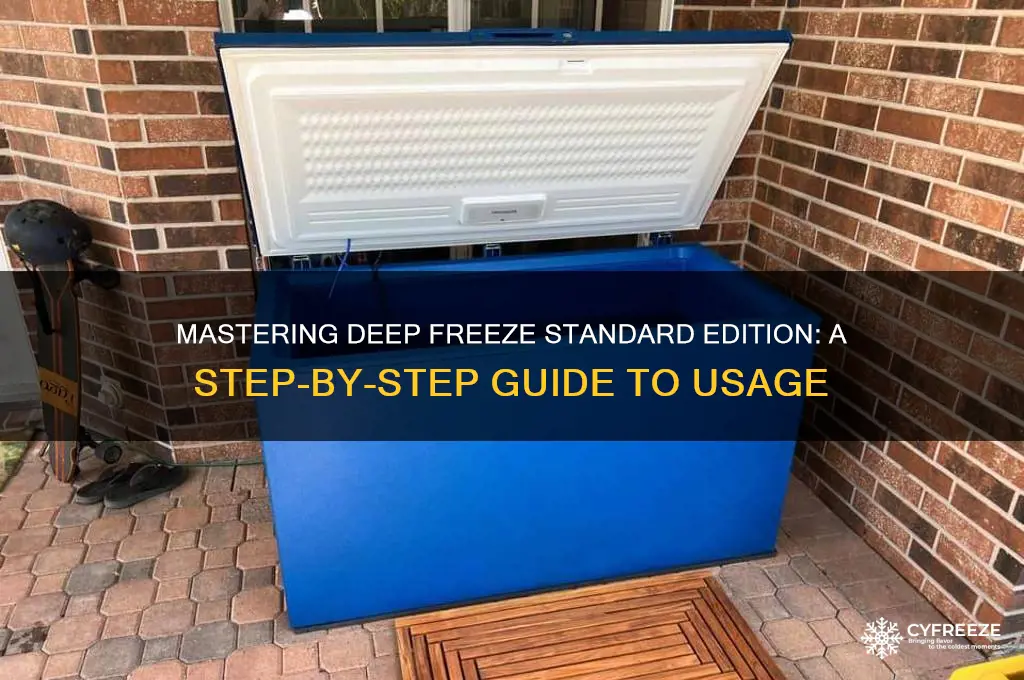 how to use deep freeze standard edition