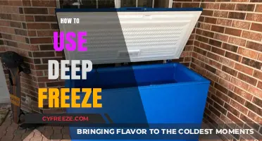 Mastering Deep Freeze: A Step-by-Step Guide to Protect Your System