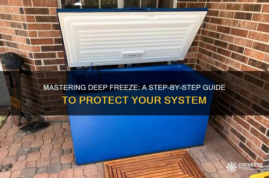 how to use deep freeze