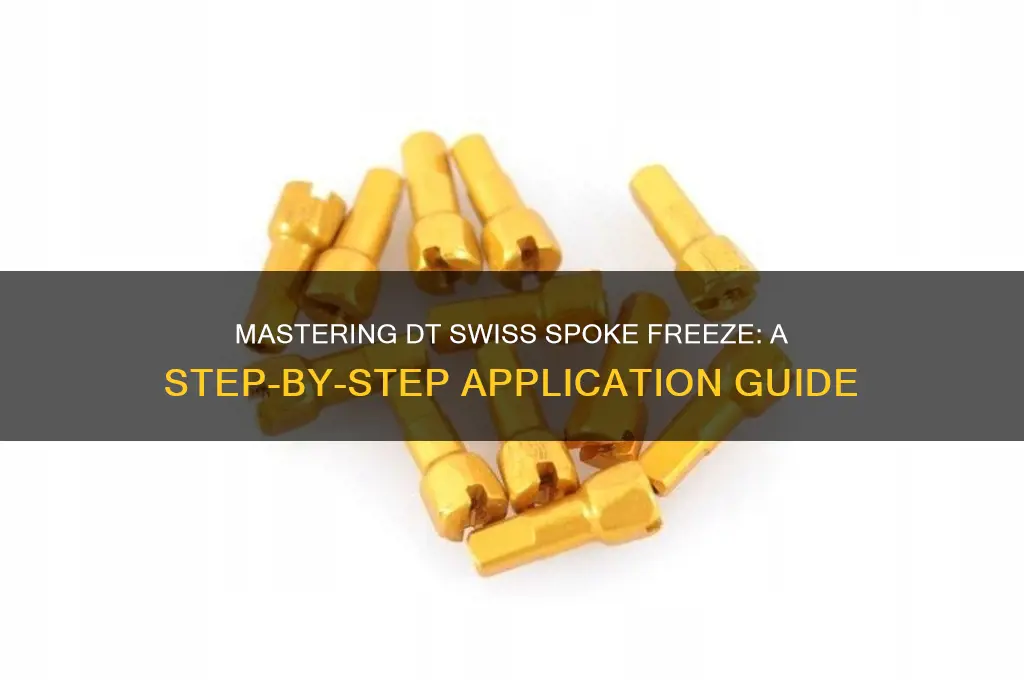how to use dt swiss spoke freeze