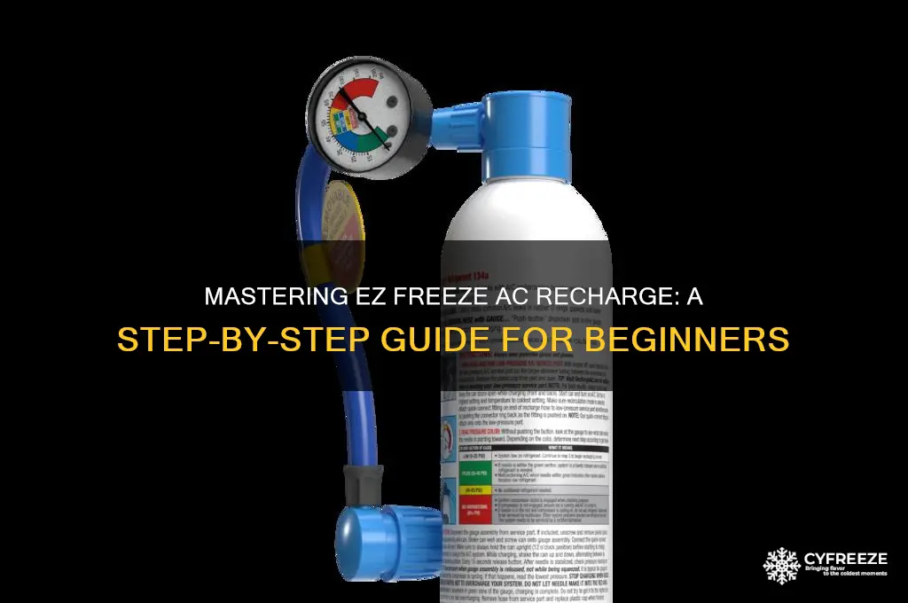how to use ez freeze ac rechare
