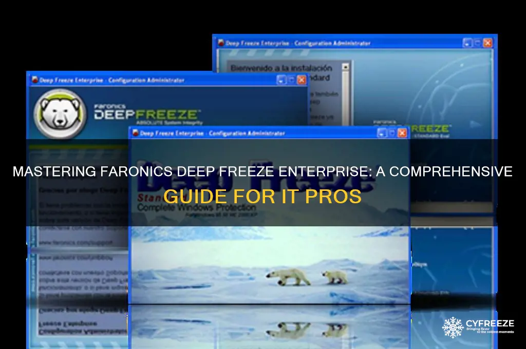 how to use faronics deep freeze enterprise
