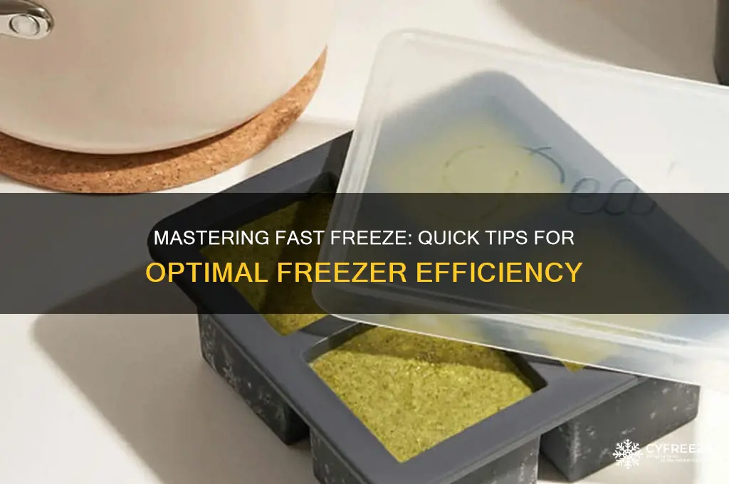 how to use fast freeze in freezer