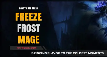Mastering Flash Freeze: A Frost Mage's Ultimate Guide to Domination