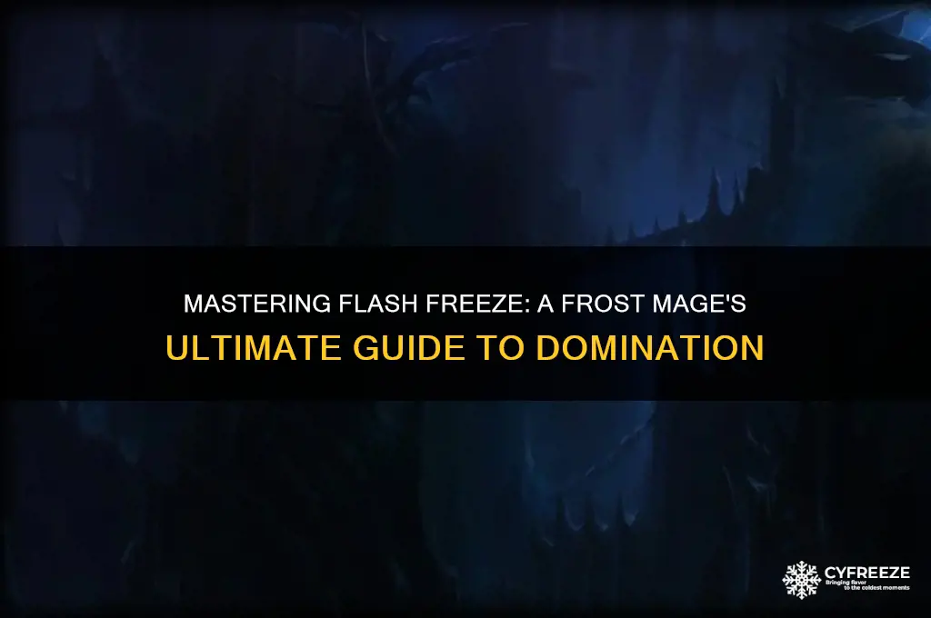 how to use flash freeze frost mage