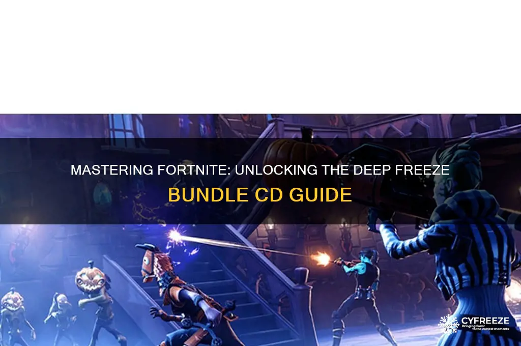 how to use fortnite deep freeze bundle cd