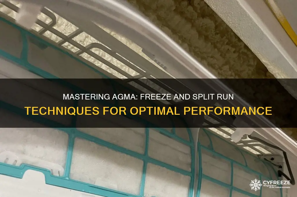 how to use freeze and split run agma