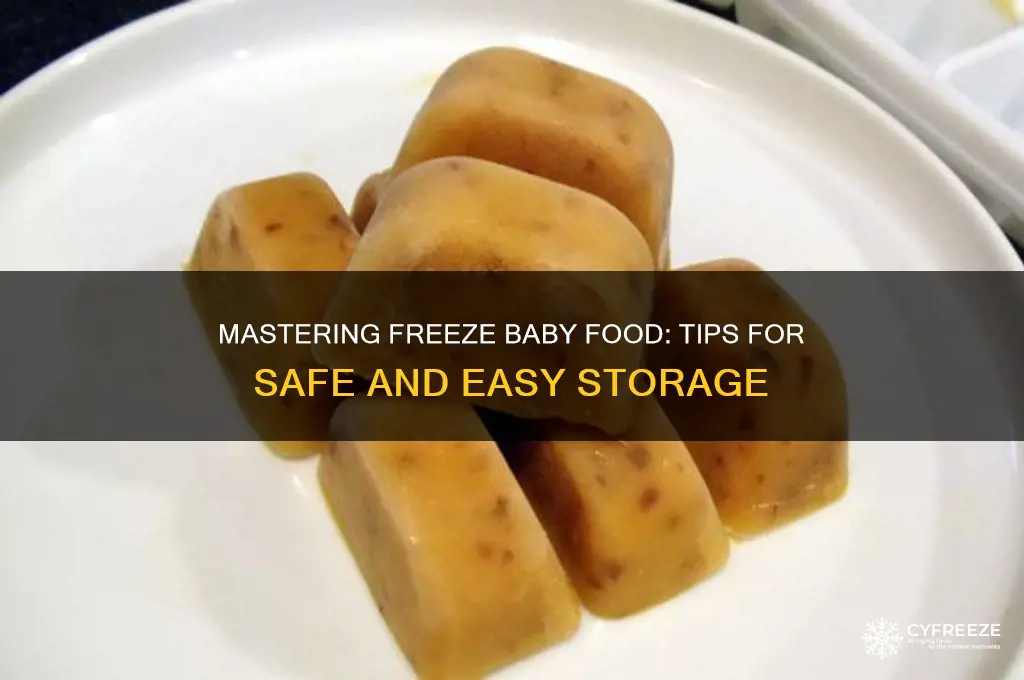 how to use freeze baby food